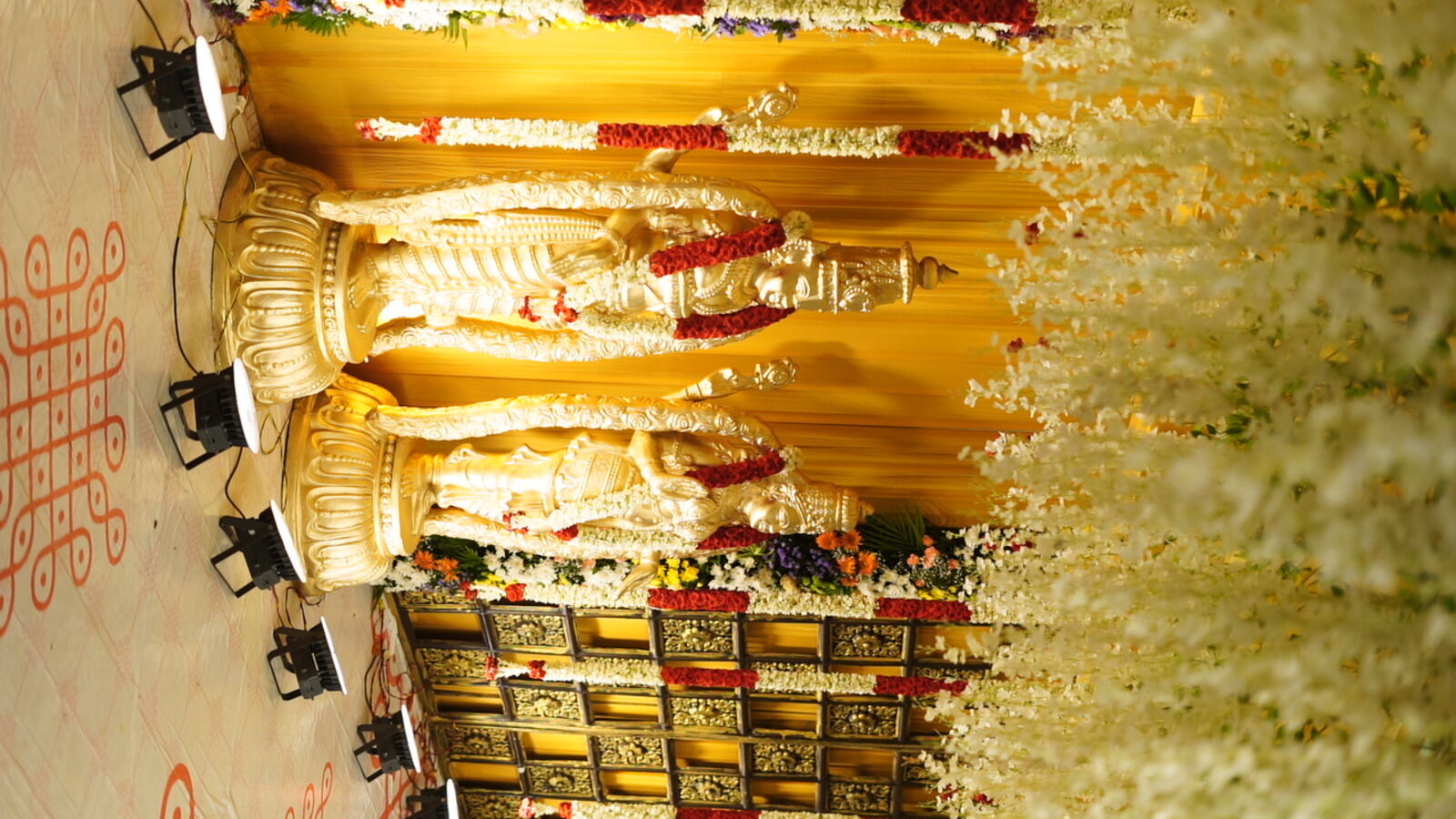 Exhibitions & Product Launches